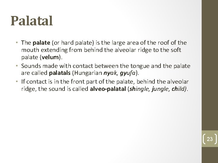 Palatal • The palate (or hard palate) is the large area of the roof