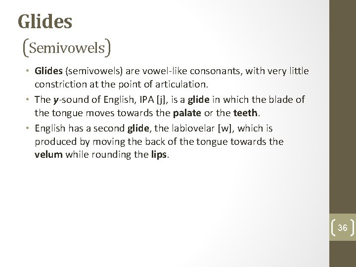 Glides (Semivowels) • Glides (semivowels) are vowel-like consonants, with very little constriction at the