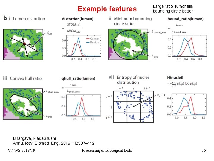 Example features Large ratio: tumor fills bounding circle better Bhargava, Madabhushi Annu. Rev. Biomed.