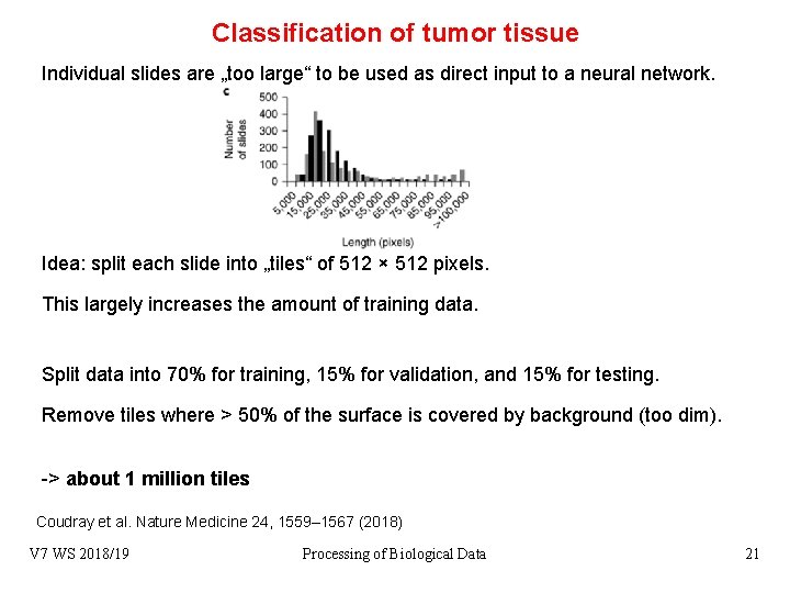 Classification of tumor tissue Individual slides are „too large“ to be used as direct