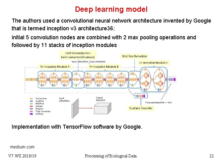 Deep learning model The authors used a convolutional neural network architecture invented by Google