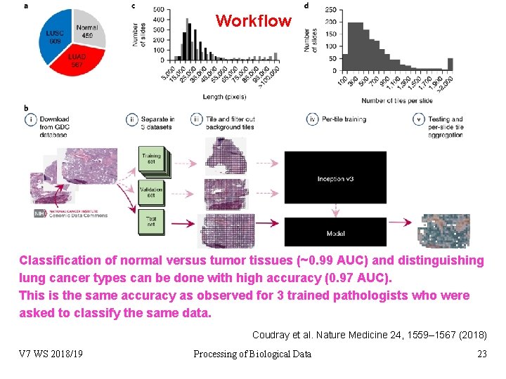 Workflow Classification of normal versus tumor tissues (~0. 99 AUC) and distinguishing lung cancer