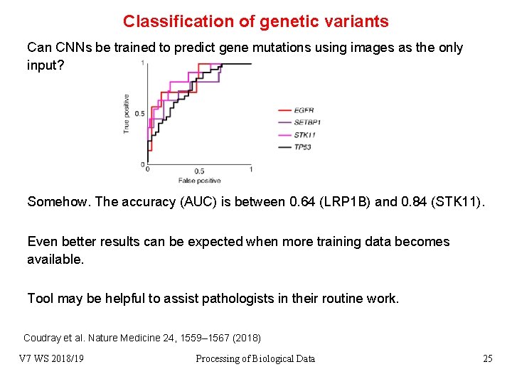Classification of genetic variants Can CNNs be trained to predict gene mutations using images
