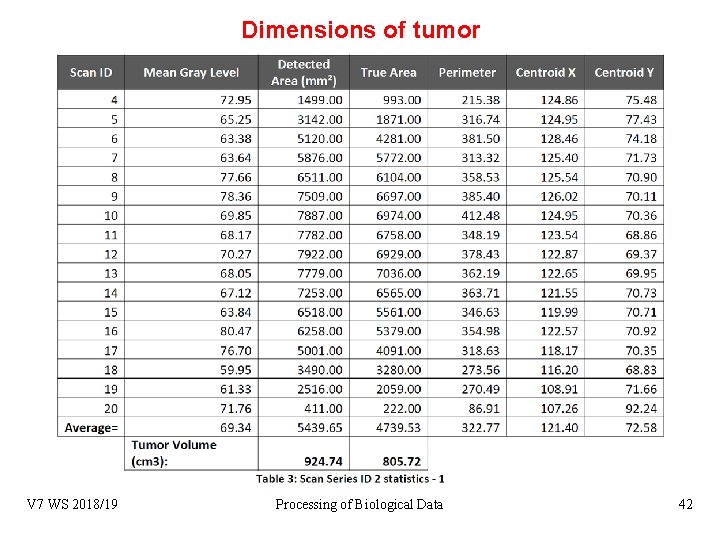 Dimensions of tumor Blob recognition V 7 WS 2018/19 Processing of Biological Data 42