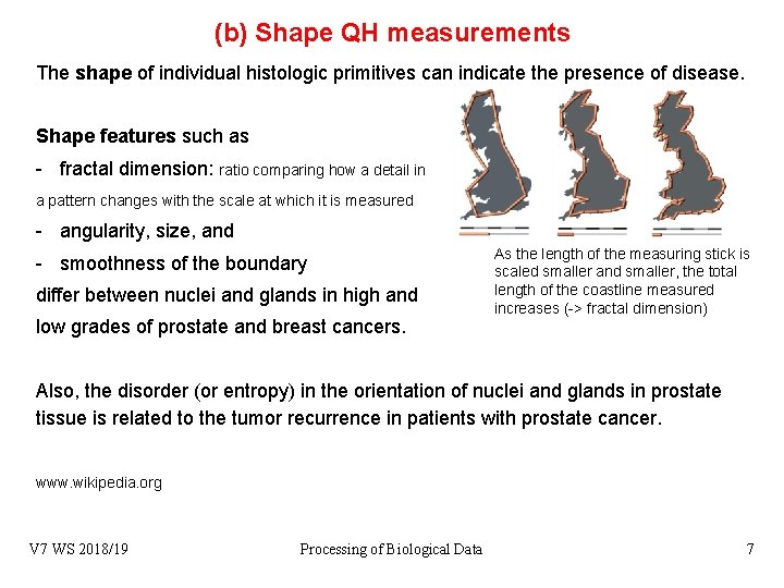 (b) Shape QH measurements The shape of individual histologic primitives can indicate the presence