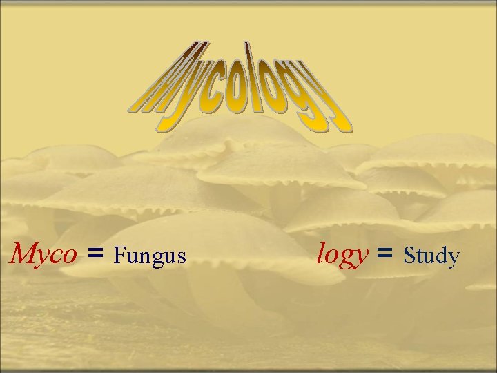 Myco = Fungus logy = Study 