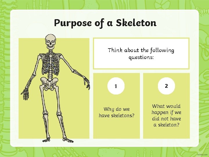 Purpose of a Skeleton Think about the following questions: 1 Why do we have