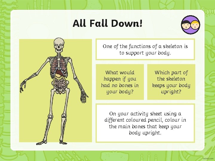 All Fall Down! One of the functions of a skeleton is to support your