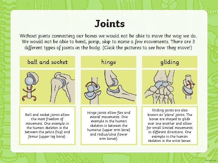 Joints Without joints connecting our bones we would not be able to move the