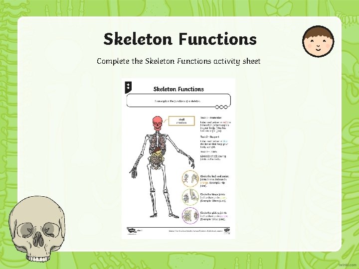 Skeleton Functions Complete the Skeleton Functions activity sheet 