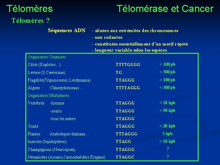 Télomères Télomérase et Cancer Télomères ? Séquences ADN - situées aux extrémités des chromosomes