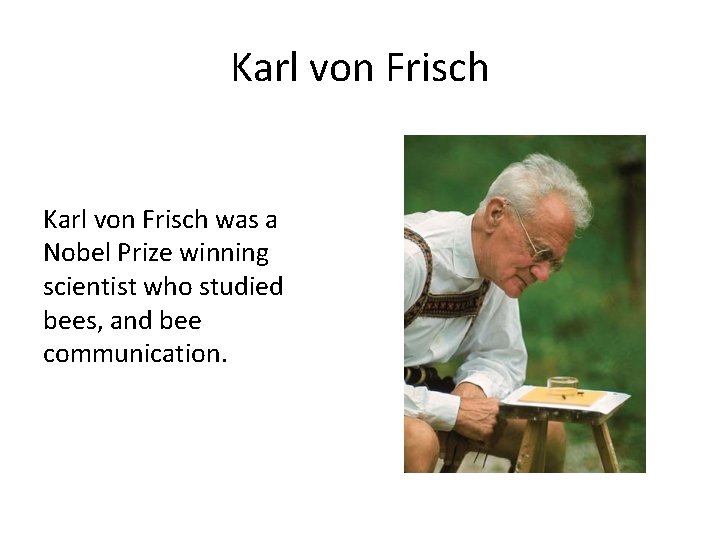 Karl von Frisch was a Nobel Prize winning scientist who studied bees, and bee