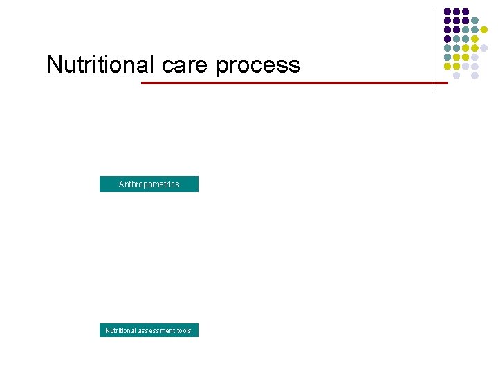 Nutritional care process Anthropometrics Nutritional assessment tools 