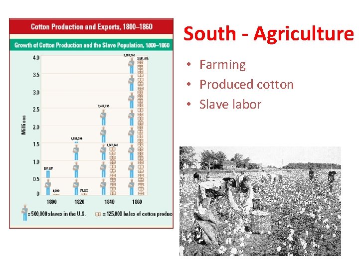 South - Agriculture • Farming • Produced cotton • Slave labor 