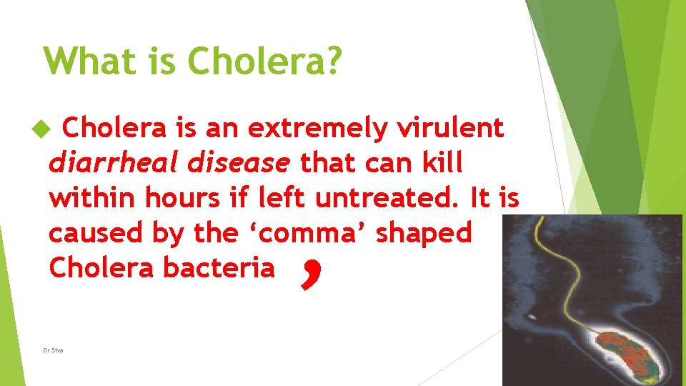 What is Cholera? Cholera is an extremely virulent diarrheal disease that can kill within