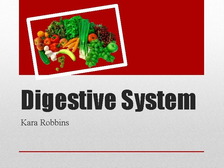 Digestive System Kara Robbins 