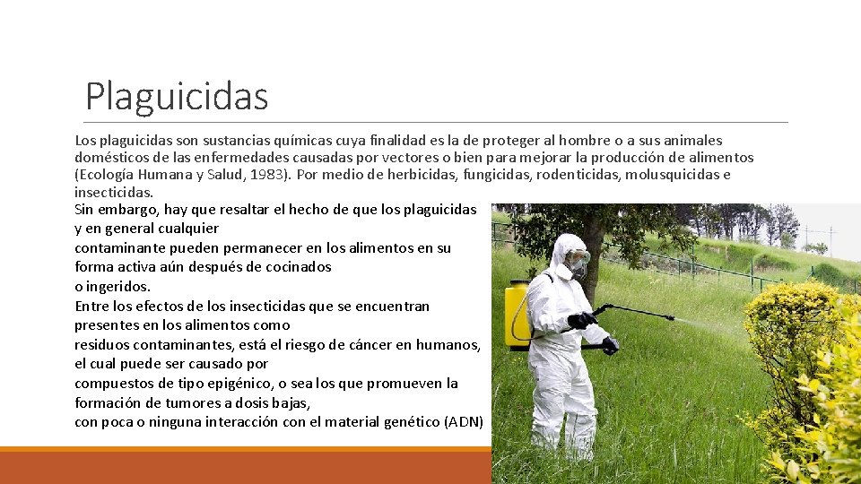 Plaguicidas Los plaguicidas son sustancias químicas cuya finalidad es la de proteger al hombre