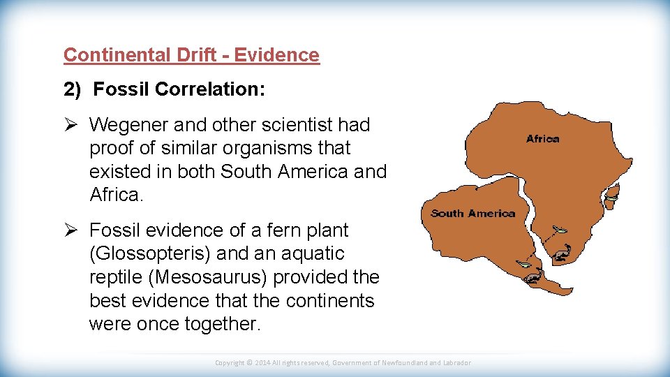 Continental Drift - Evidence 2) Fossil Correlation: Ø Wegener and other scientist had proof