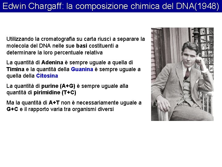 Edwin Chargaff: la composizione chimica del DNA(1948) Utilizzando la cromatografia su carta riuscì a