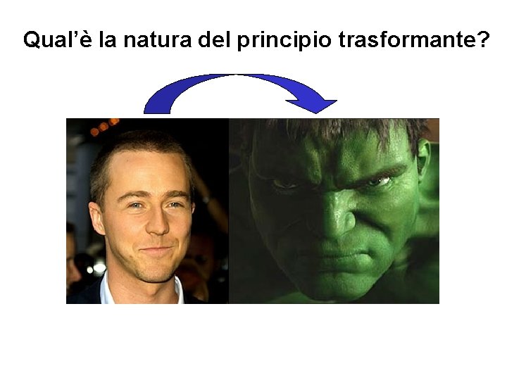 Qual’è la natura del principio trasformante? 