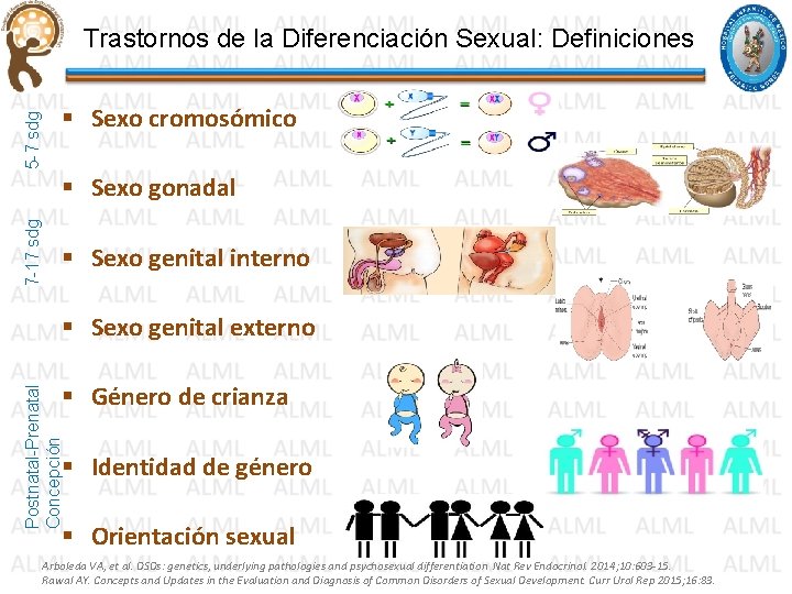 5 -7 sdg Trastornos de la Diferenciación Sexual: Definiciones § Sexo cromosómico 7 -17