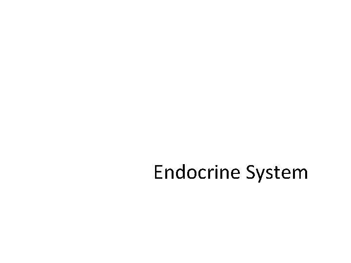 Endocrine System 