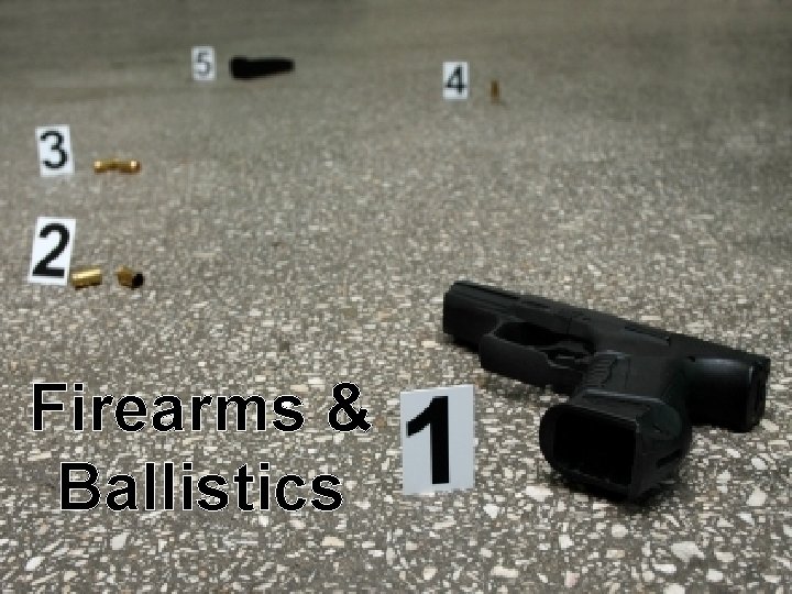 Firearms & Ballistics 