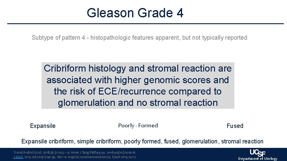 Gleason Grade 4 Subtype of pattern 4 - histopathologic features apparent, but not typically Gleason Grade 4 Subtype of pattern 4 - histopathologic features apparent, but not typically