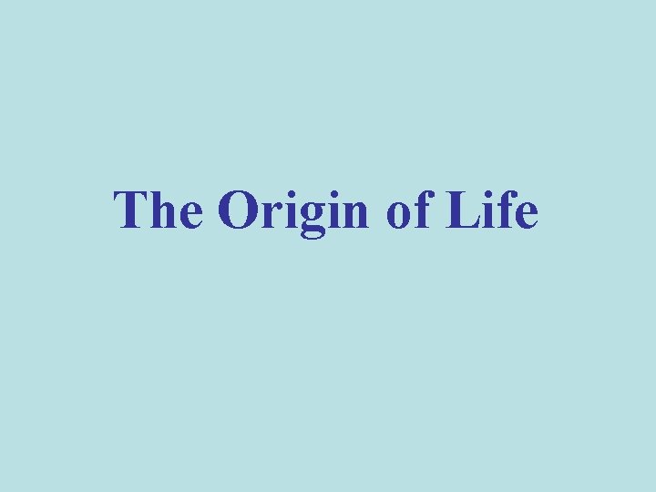 The Origin of Life 