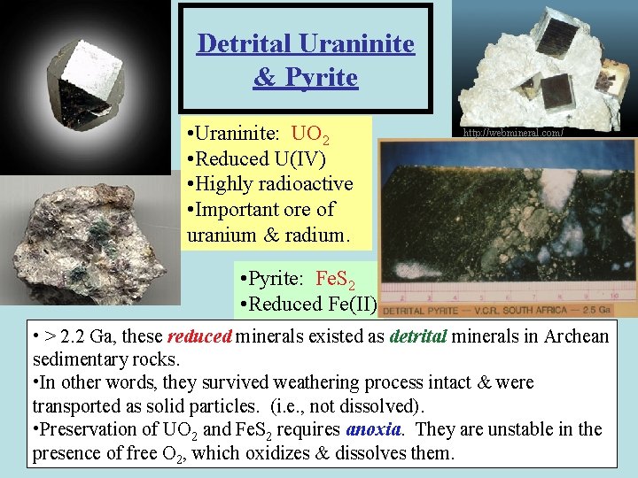 Detrital Uraninite & Pyrite • Uraninite: UO 2 • Reduced U(IV) • Highly radioactive