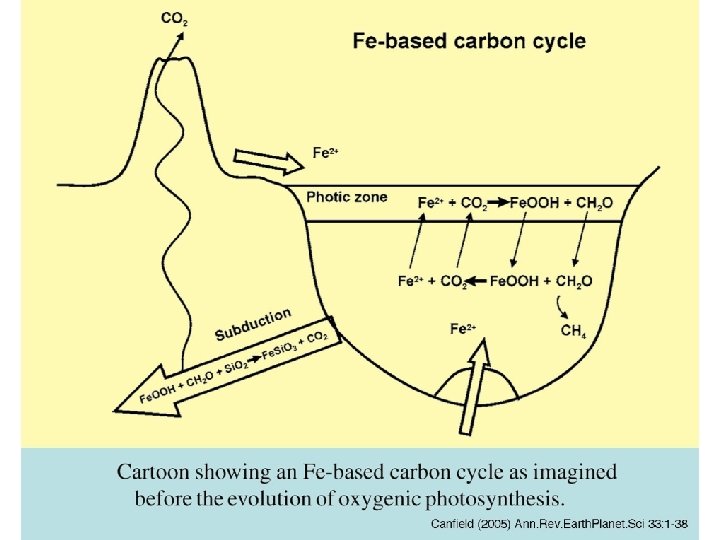 Fe-based carbon cycle cartoon 