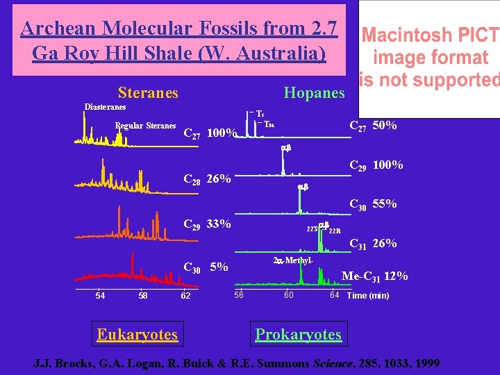 Archean Molecular Fossils from 2. 7 Ga Roy Hill Shale (W. Australia) Steranes Hopanes