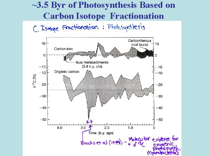 ~3. 5 Byr of Photosynthesis Based on Carbon Isotope Fractionation 