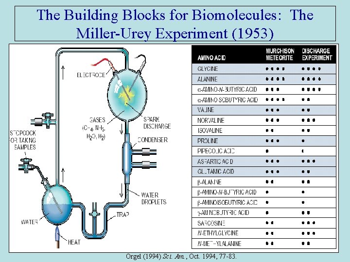 The Building Blocks for Biomolecules: The Miller-Urey Experiment (1953) Orgel (1994) Sci. Am. ,