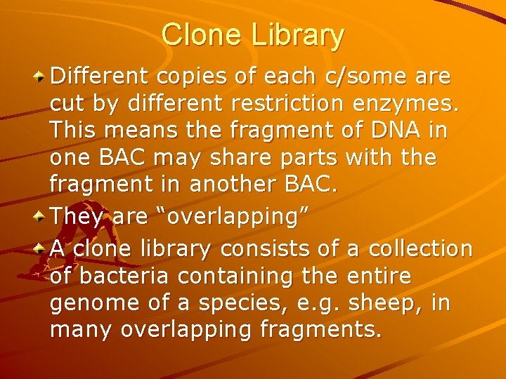 Clone Library Different copies of each c/some are cut by different restriction enzymes. This