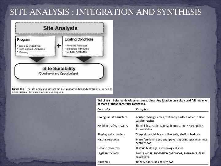SITE ANALYSIS : INTEGRATION AND SYNTHESIS 