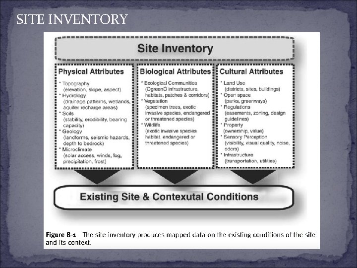 SITE INVENTORY 