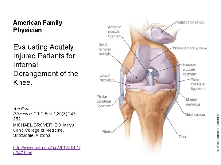 American Family Physician Evaluating Acutely Injured Patients for Internal Derangement of the Knee. Am