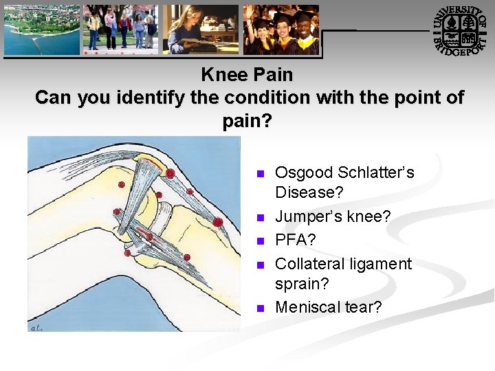 Knee Pain Can you identify the condition with the point of pain? n n