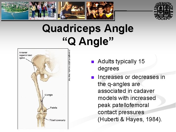 Quadriceps Angle “Q Angle” n n Adults typically 15 degrees Increases or decreases in