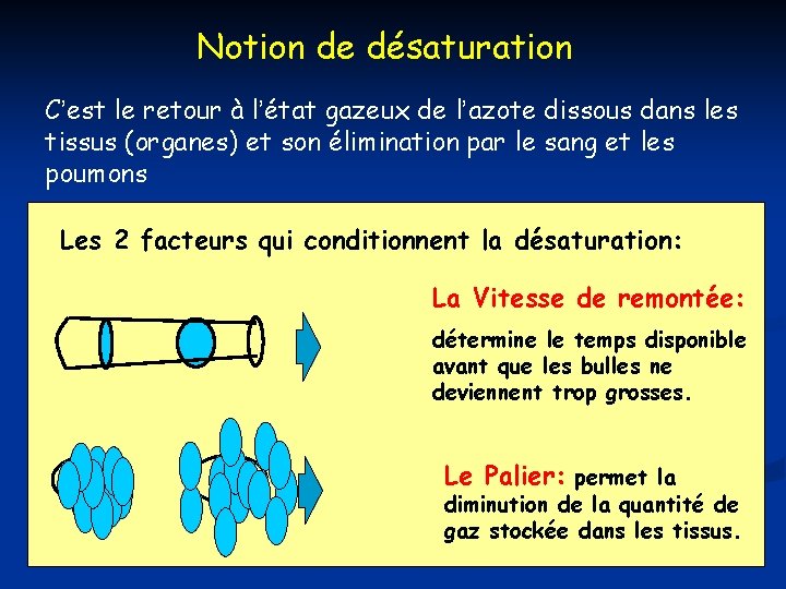 Notion de désaturation C’est le retour à l’état gazeux de l’azote dissous dans les Notion de désaturation C’est le retour à l’état gazeux de l’azote dissous dans les