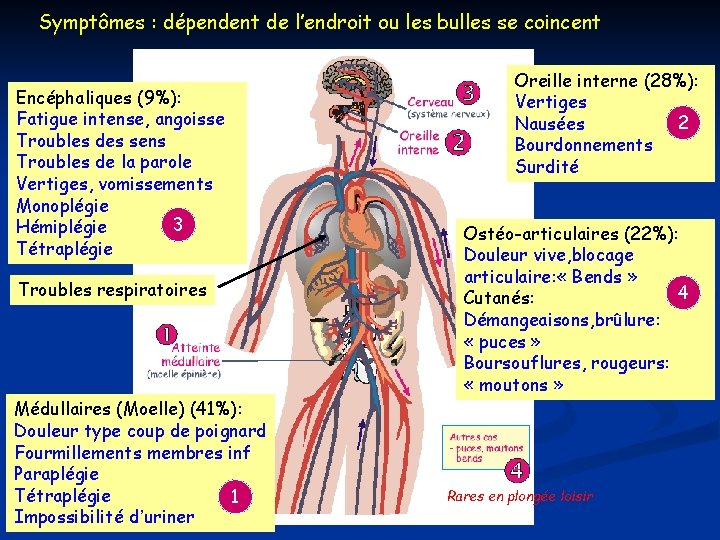 Symptômes : dépendent de l’endroit ou les bulles se coincent Encéphaliques (9%): Fatigue intense, Symptômes : dépendent de l’endroit ou les bulles se coincent Encéphaliques (9%): Fatigue intense,