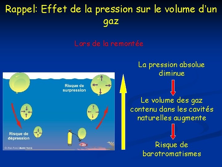 Rappel: Effet de la pression sur le volume d’un gaz Lors de la remontée Rappel: Effet de la pression sur le volume d’un gaz Lors de la remontée