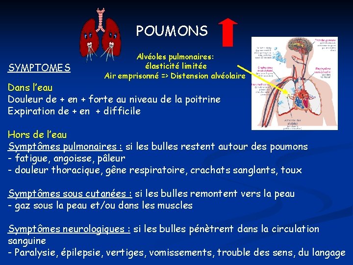 POUMONS SYMPTOMES Alvéoles pulmonaires: élasticité limitée Air emprisonné => Distension alvéolaire Dans l’eau Douleur POUMONS SYMPTOMES Alvéoles pulmonaires: élasticité limitée Air emprisonné => Distension alvéolaire Dans l’eau Douleur