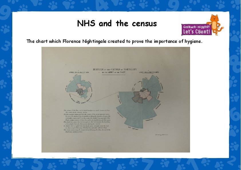 NHS and the census The chart which Florence Nightingale created to prove the importance