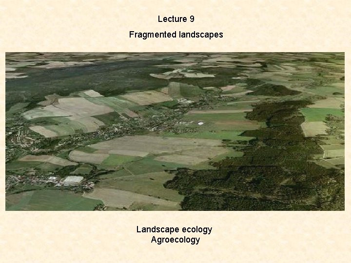 Lecture 9 Fragmented landscapes Landscape ecology Agroecology 