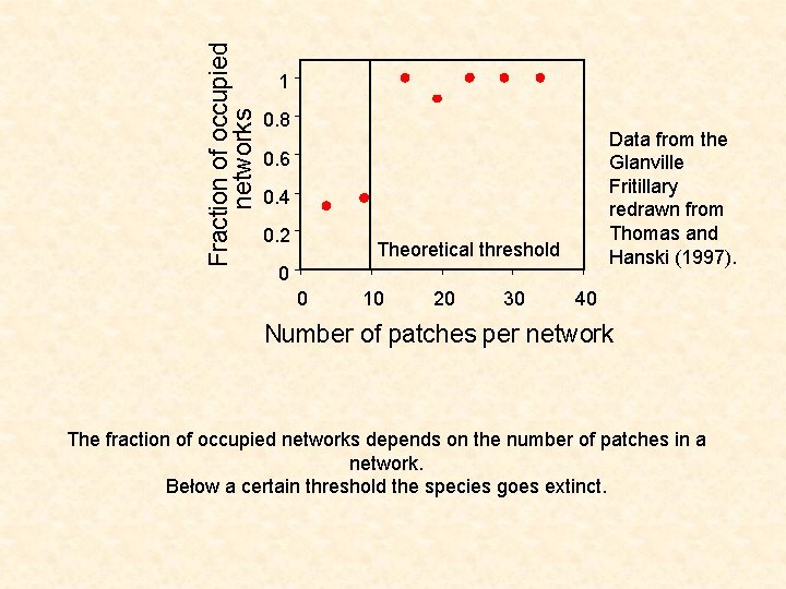Fraction of occupied networks 1 0. 8 Data from the Glanville Fritillary redrawn from