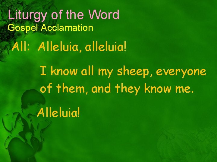 Liturgy of the Word Gospel Acclamation All: Alleluia, alleluia! I know all my sheep,