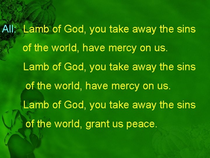 All: Lamb of God, you take away the sins of the world, have mercy