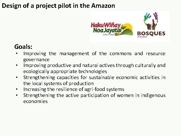 Design of a project pilot in the Amazon Goals: • Improving the management of